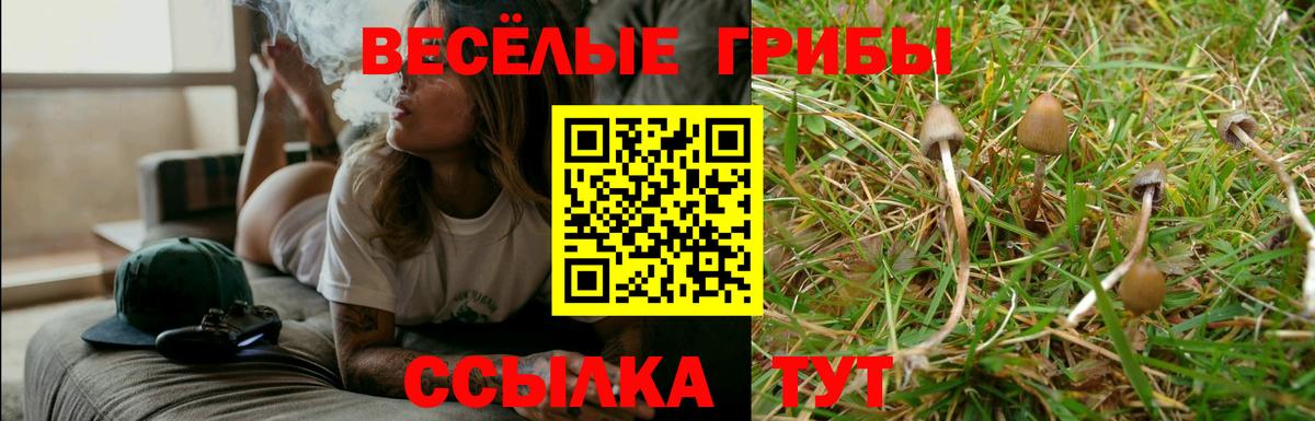 Галлюциногенные грибы Magic Shrooms  Вход с VPN  Александров 