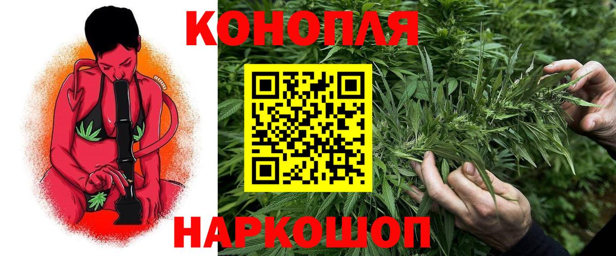 Конопля семена  Канабис конопля  Вход с VPN  Конопля конопля  Александров  Конопля планчик 